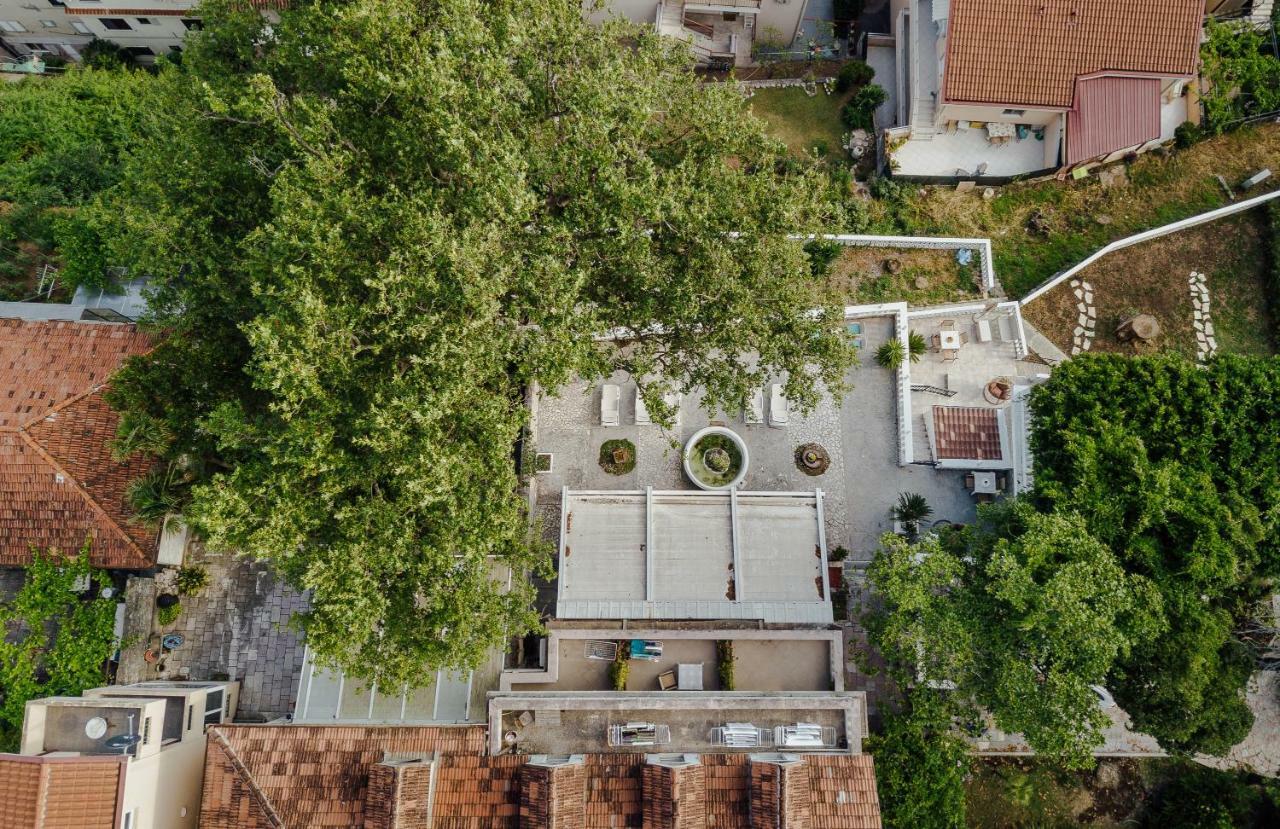 Belvedere Herceg Novi